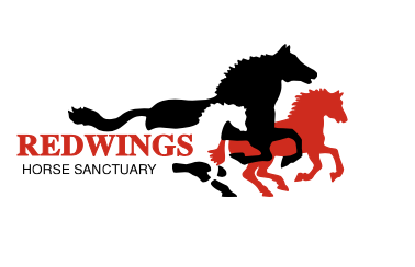 redwings horse sanctuary